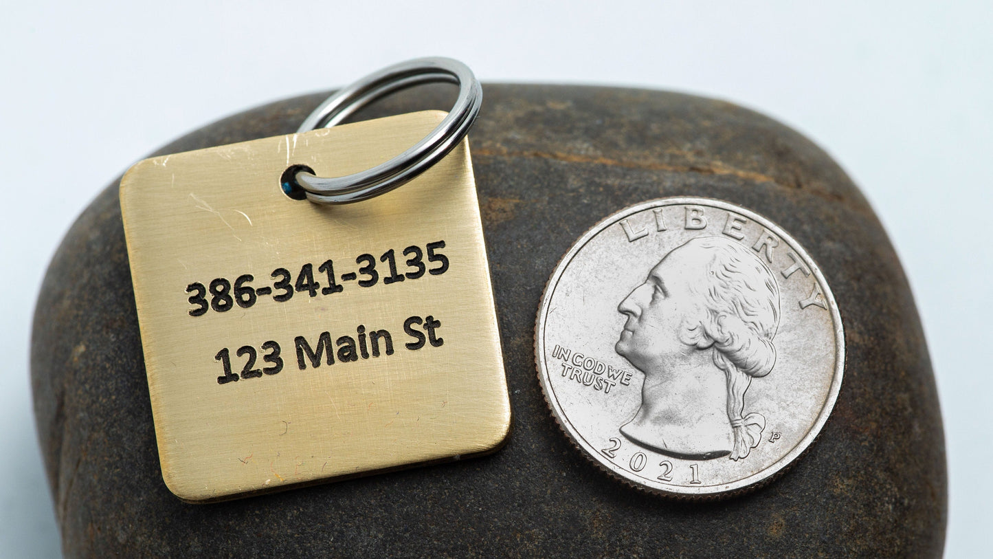 Engraved Greek Style Pet ID Tag Personalized for your Cat or Dog - Purple-2