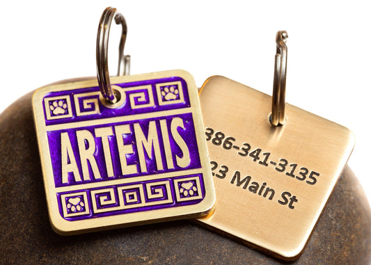 Engraved Greek Style Pet ID Tag Personalized for your Cat or Dog - Purple-0